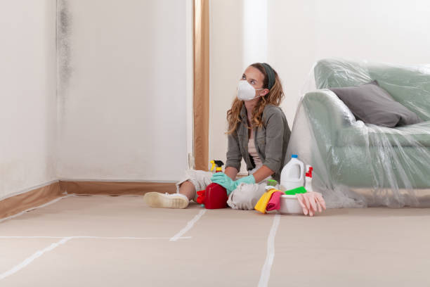 Reliable Mold Remediation contractor in Edgewater, MD by 24 Hour Mold Removal